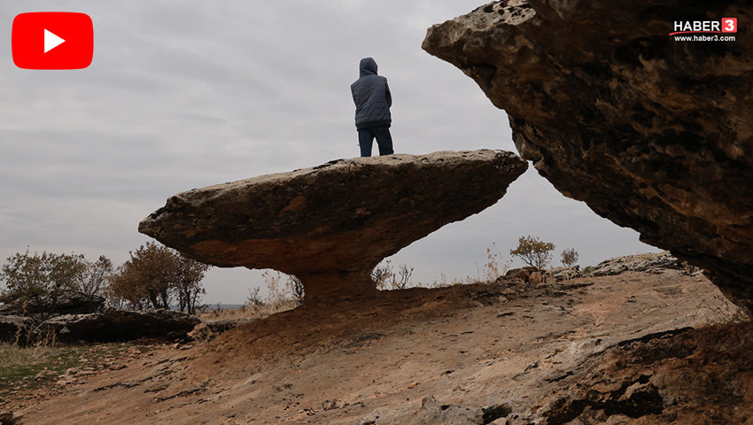 Türkiye'de buzul çağından kalma 6 milyon yıllık sır...