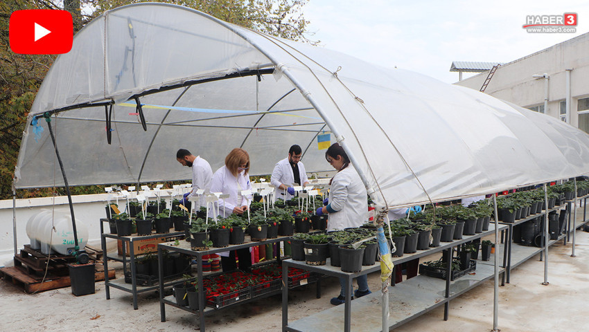 Üniversitede profesörden örnek proje: Öğrencileri soğuktan ve yağıştan böyle koruyor!