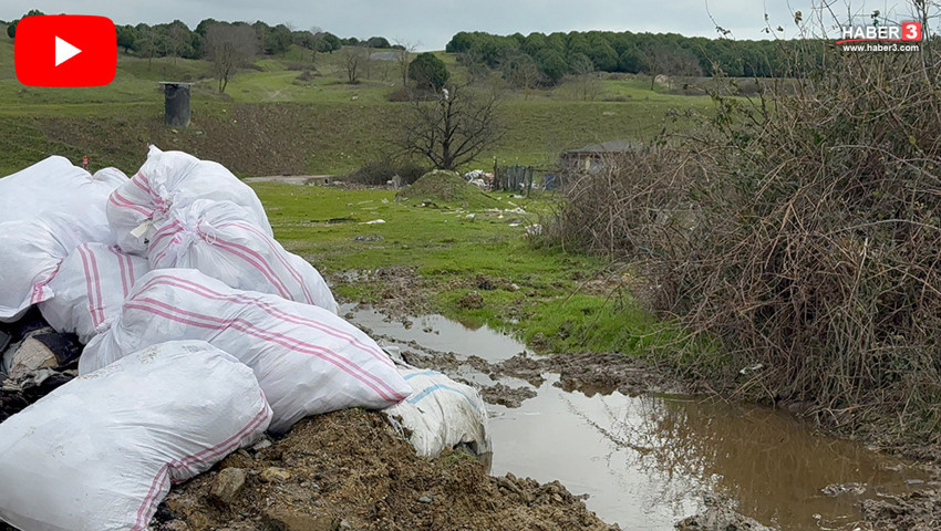 İstanbul'un katilleri kamerada: Tonlarcasını getirip son yeşil alana döküp duruyorlar!
