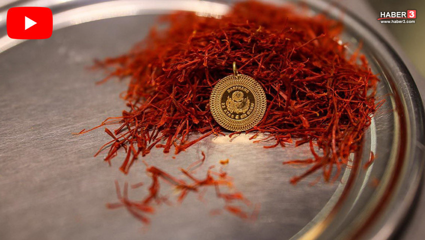 Türkiye'nin kilosu 900 bin TL'ye satılan kırmızı altınında akılalmaz dolandırıcılık!