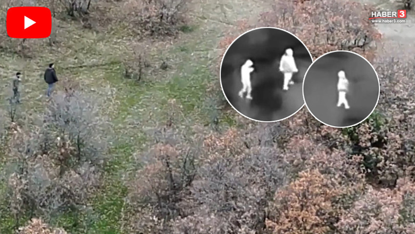 Türkiye'deki vahşi yaşamın katilleri termal dronlarla yakalandı!