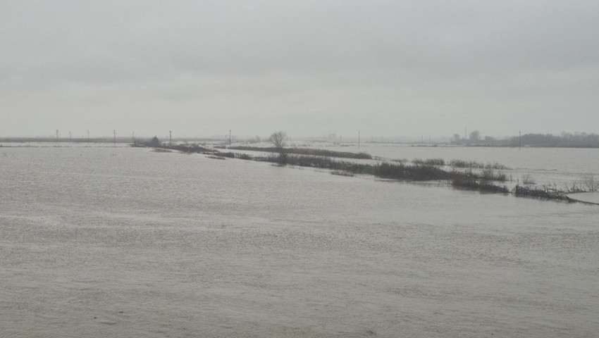 Nehirden taşan sular yerleşim yerine kadar ulaştı!