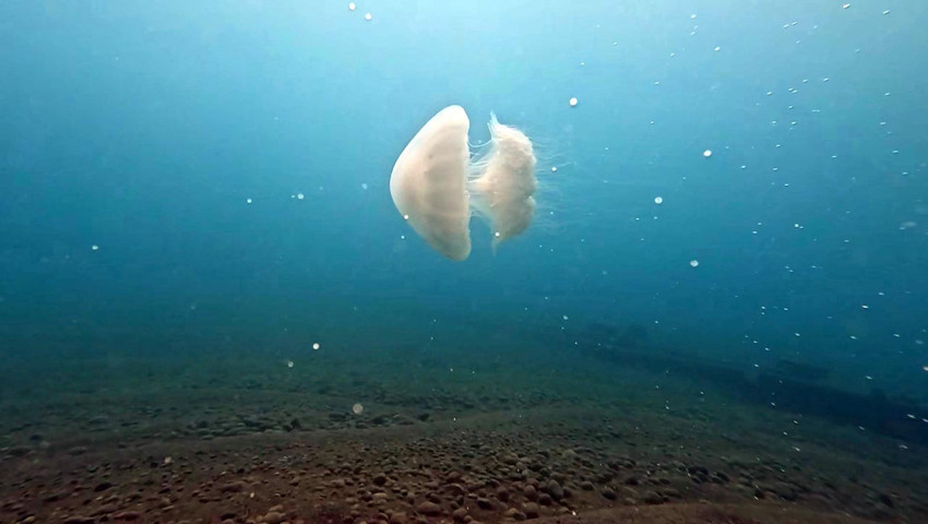 Turizmin başkentinde plaj sezonu öncesi tedirgin eden manzara