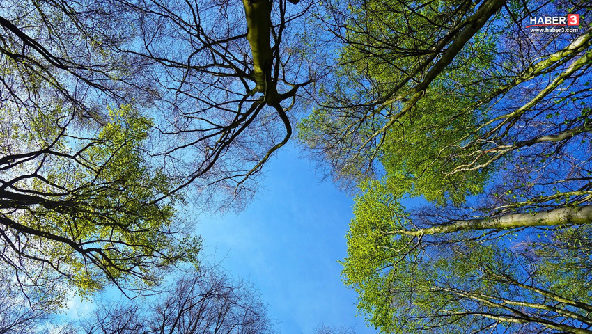 Bahar değil adeta yaz geliyor: Sıcaklıklar 30 dereceye fırlayacak! Ancak yağmur uyarısı da geldi!