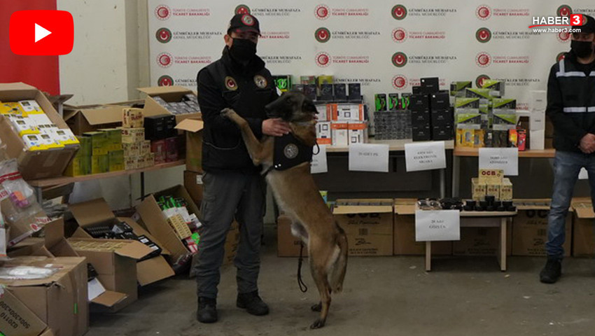 Kapıkule'de nefes kesen operasyon! Dedektör köpek Bodri'den milyonluk kaçakçılığa darbe!
