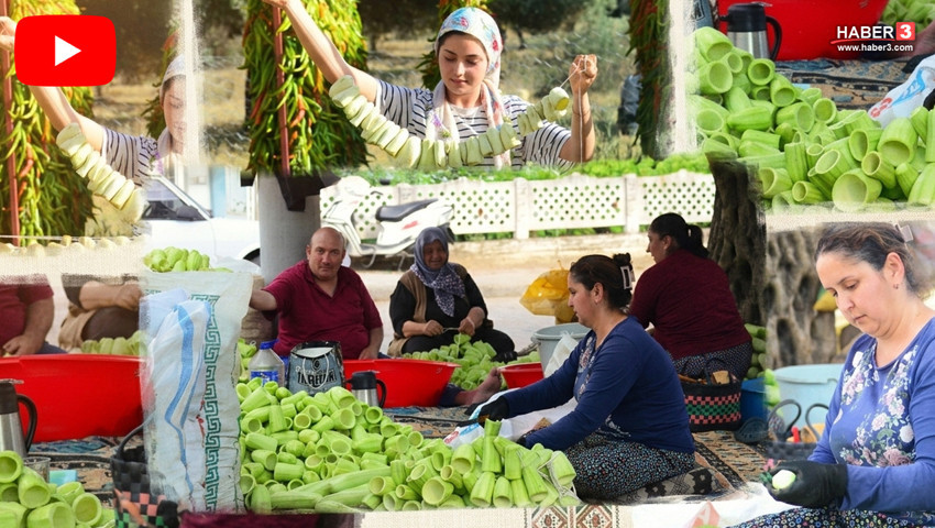 Burası Türkiye'nin bacasız fabrikası... Tam 70 yıldır tıkır tıkır işliyor!