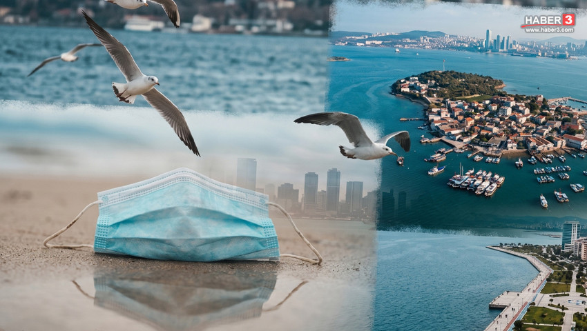 Marmara Denizi'nde renk değişimi alarmı verildi: Müsilaj patlaması yolda!