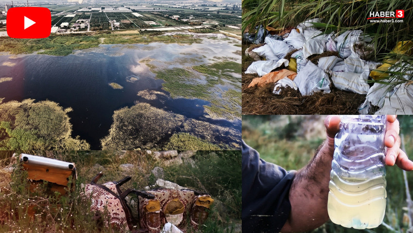 Türkiye'nin eşsiz güzellikteki kuş cenneti moloz yığınına gömüldü!
