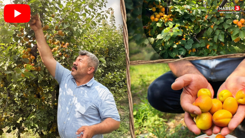 Sadece bir uzman tavsiyesi sayesinde kendi işinin patronu oldu!