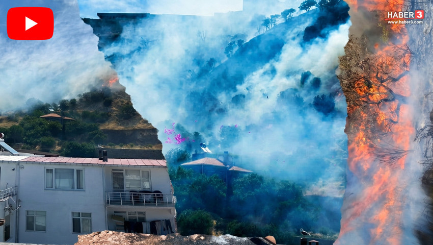 Çanakkale'de orman yangını: Alev savaşçılarının aralıksız mücadelesi kamerada!
