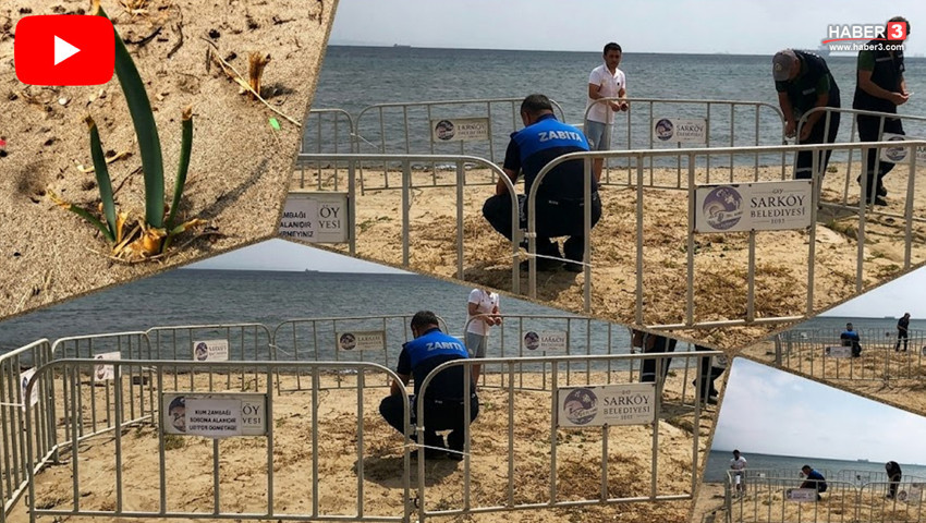 Dokunan yanar! Koparmanın cezası tam 699 bin TL!