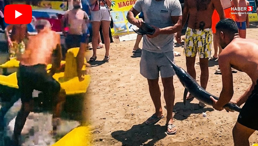 Marmaris'te akılalmaz olay: Kılıç balığını kuyruğundan tuttuğu gibi karaya çıkardı!