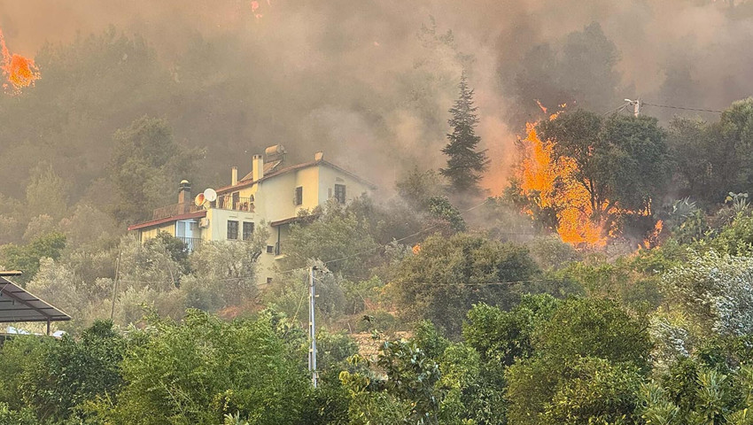 Muğla'da büyük yangın: Ormanı saran alevler evlere ulaştı