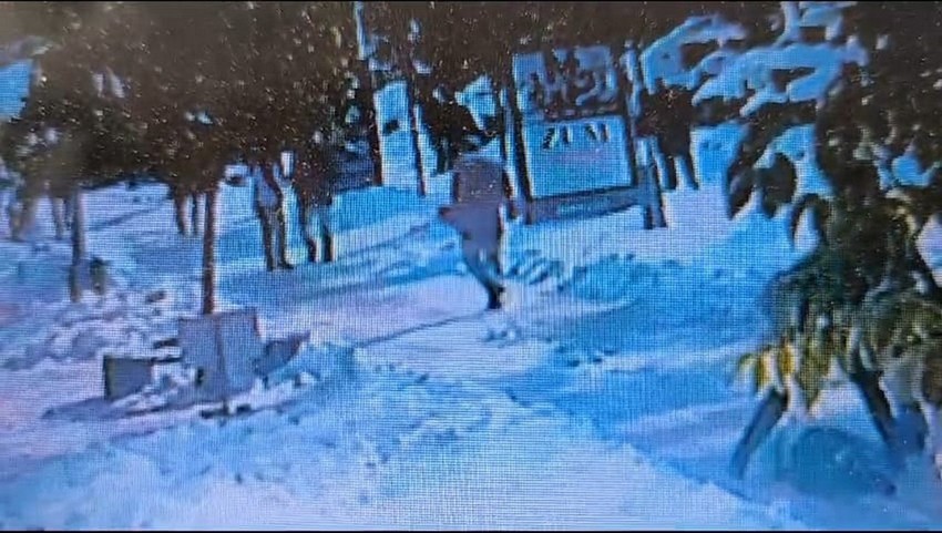 Karda kahreden ölüm kamerada - Resim: 3