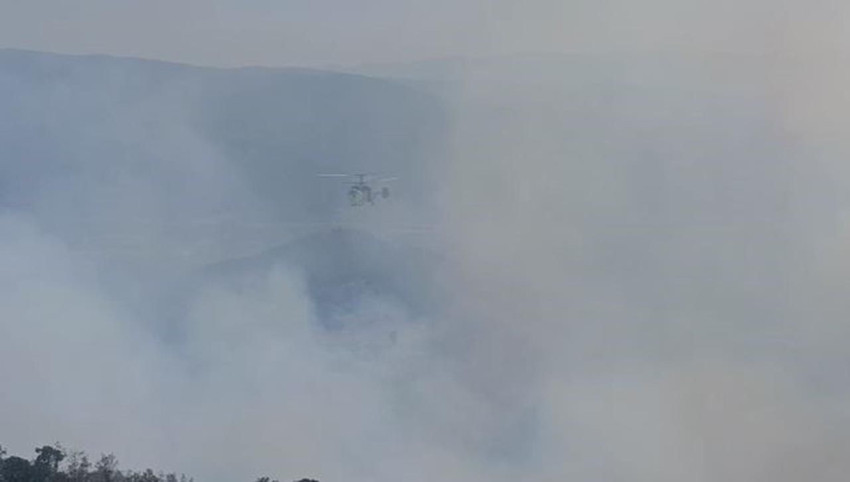 Denizli'de orman yangını - Resim: 2