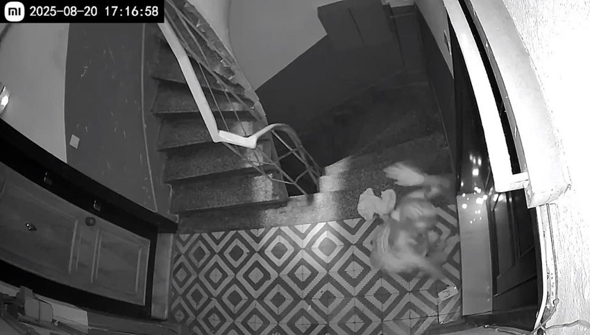 İstanbul'da eski sevgili kabusu: Evini basıp ortalığı birbirine kattı - Resim: 2