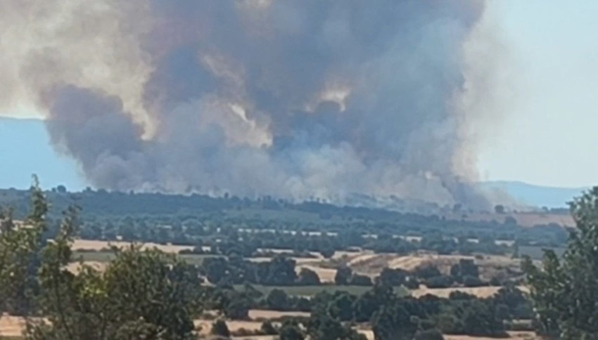 Edirne'de kırmızı alarm... Bulgaristan'daki orman yangını sınırımıza dayandı - Resim: 3