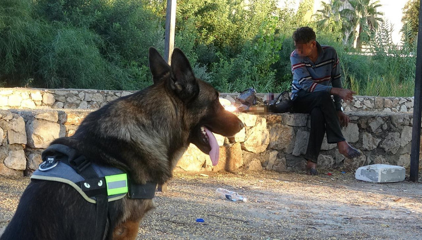 Hiç yanından ayırmadığı köpeği kahramanı oldu! Havlama seslerine koşup, kurtardılar - Resim: 3