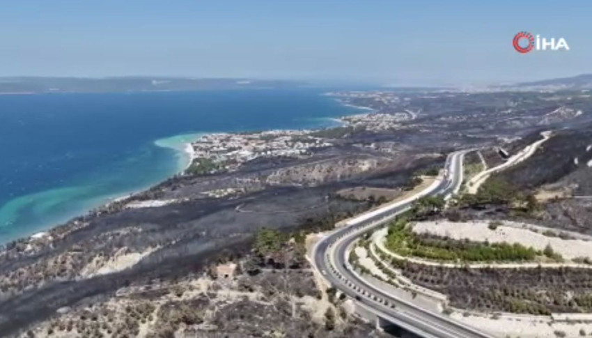 Çanakkale'deki orman yangınının ardından yürek yakan manzara - Resim: 4