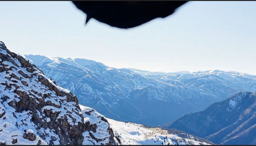 Bu görüntüler Türkiye'den... Dev kartal dronu avladı! Verdiği ''selfie'' pozu herkesi güldürdü - Resim: 2