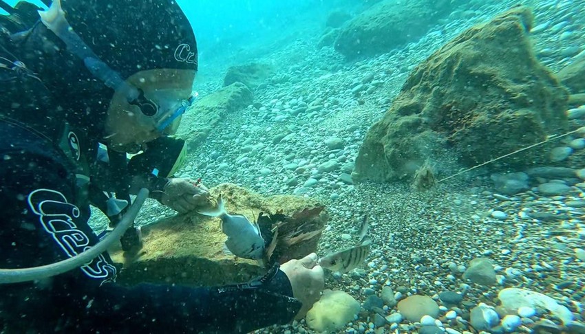 Antalya'da dalış yapan profesörler 2 balığın hayatını kurtardı - Resim: 4