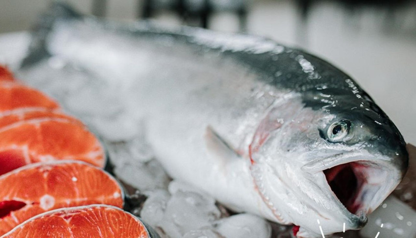 Türk'e ''imkansız'' de, otur izle: Tatlı su balığını tuzlıu suya alıp Avrupa'da pazar lideri olduk - Resim: 3