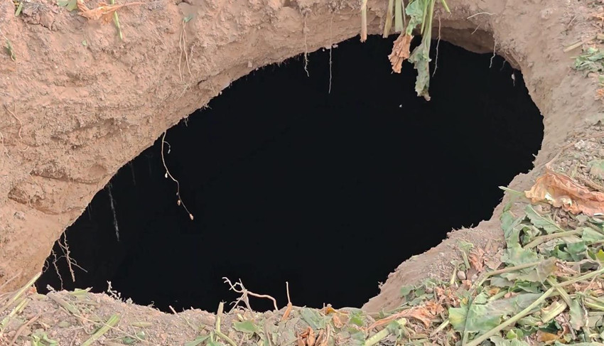 Tarlada obruk paniği! Bölge halkı diken üstünde - Resim: 2