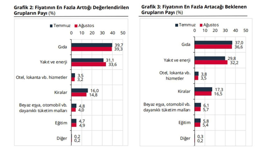 Merkez Bankası enflasyon beklenti anketini açıkladı: Piyasa ve hanehalkı ayrıştı - Resim: 4