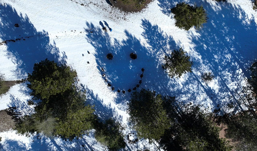267 kadın 9 kilometre karda yürüyüp, şiddete dikkat çekti - Resim: 3