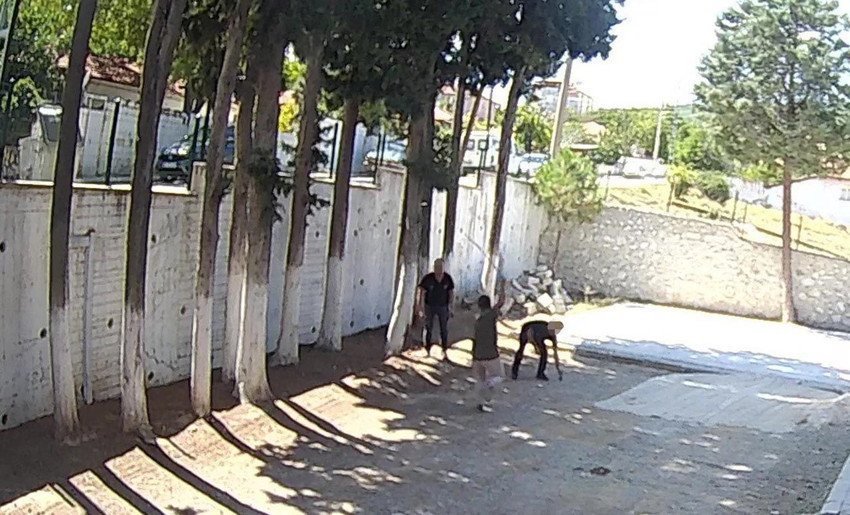 Dayakçı başkan hakkında 3 suçtan suç duyurusu - Resim: 3