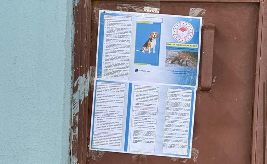 Bir ilimizde kuduz vakası tespit edildi; karantina başladı! - Resim: 3