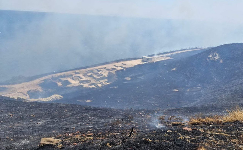 Tekirdağ'da büyük orman yangını - Resim: 3