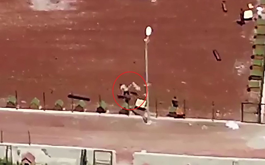 Belediyenin hayvan barınağından kan donduran görüntüler! - Resim: 3