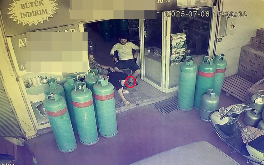 Aslan saldırısının ardından Antalya'da bu sefer de yılan saldırısı yaşandı - Resim: 2