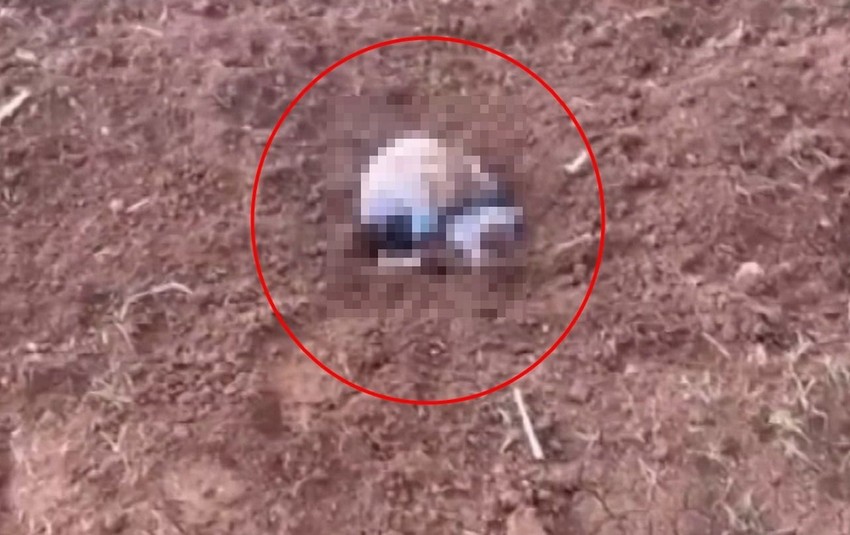 Boğup, poşetle araziye atmış... Yenidoğan kız bebeğin katili ''tanıdık'' çıktı - Resim: 1