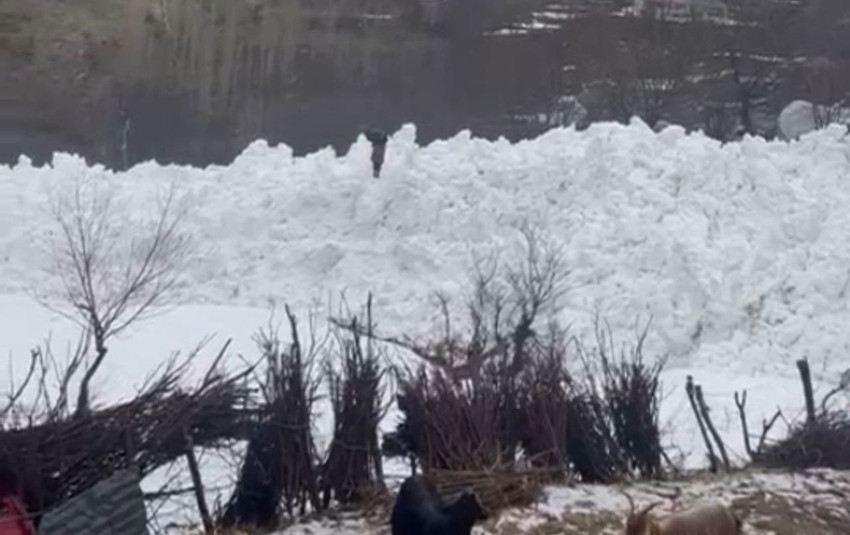 Hakkari'de çığ köyün sınırında durdu: Bir köy facianın eşiğinden döndü! - Resim: 4
