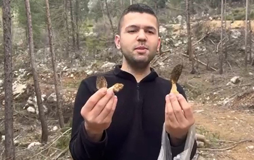 Doğada kendi kendine yetişiyor, tezgahta 1.500 TL'ye satılıyor! Faydaları say say bitmiyor! - Resim: 2