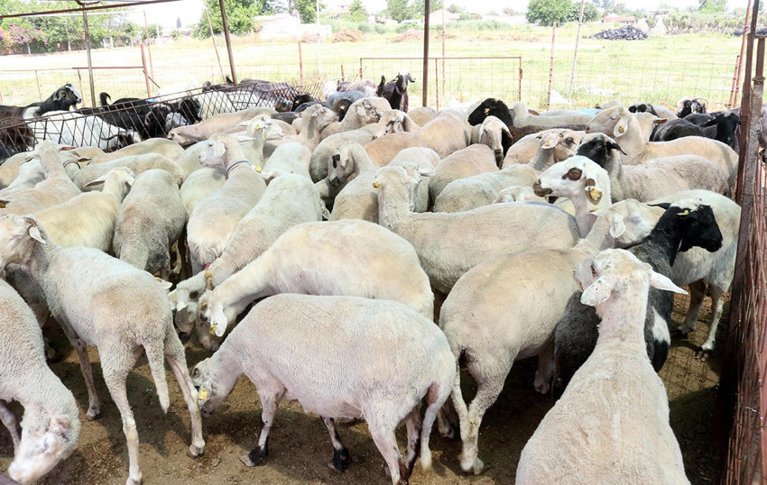 Kurban bayramında ibadet etmek isterken ''tek tıkla'' binlerce TL dolandırılabilirsiniz - Resim: 3