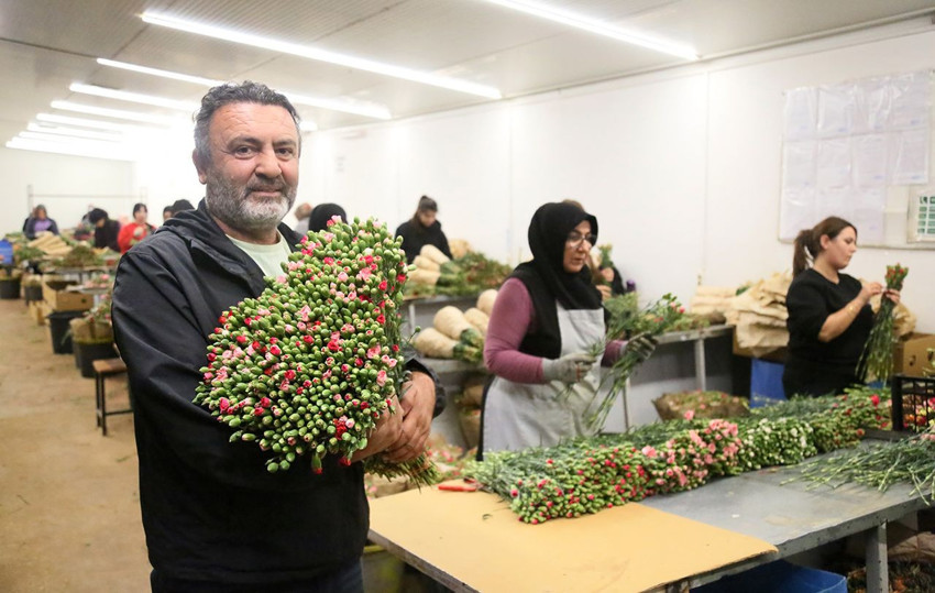 Türkiye'den Avrupa'ya 12 milyon Dolarlık yılbaşı ihracatı başladı! - Resim: 1