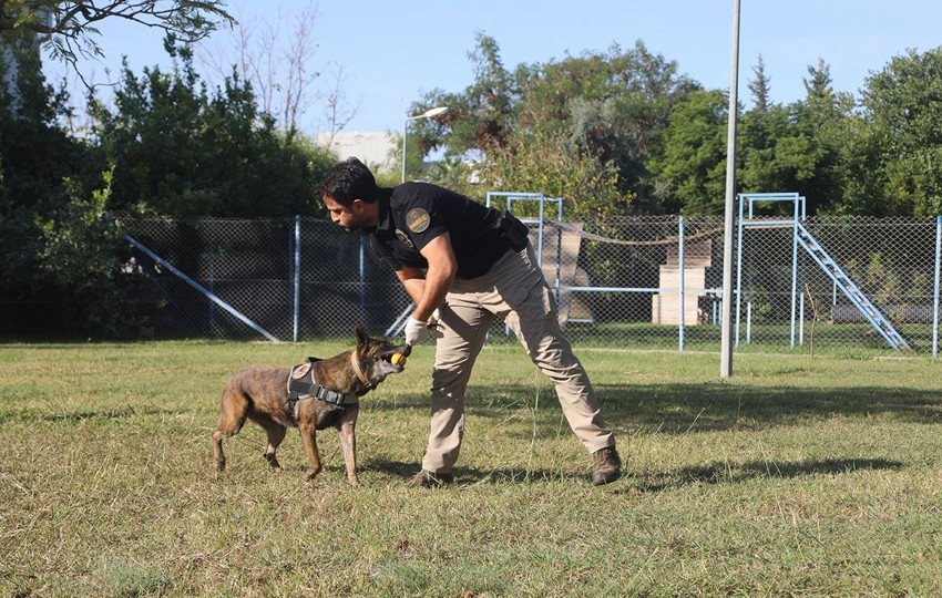 ''Uyuşturucuya alıştırıyorlar'' diyen bile vardı... Narkotik köpeklerinin sırrı çözüldü - Resim: 2