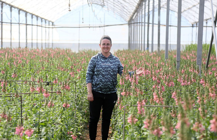 İlk kez yola çıktılar... Türkiye'den Avrupa'ya Aslanağzı ithalatı başladı - Resim: 2