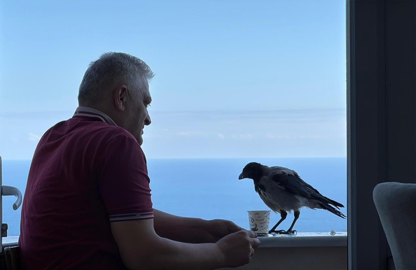 Ordulu fındıkçı ile karga Şakir'in dostluğu görenleri şaşırtıyor - Resim: 4