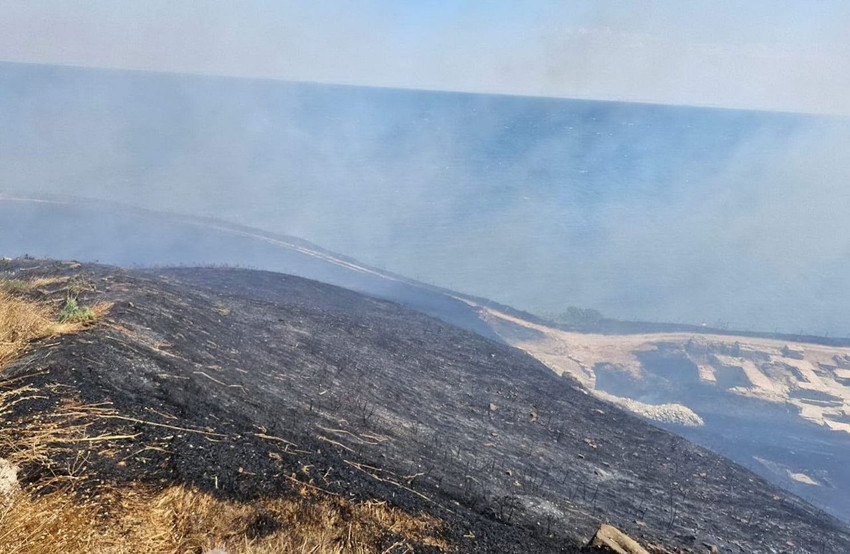 Tekirdağ'da büyük orman yangını - Resim: 2
