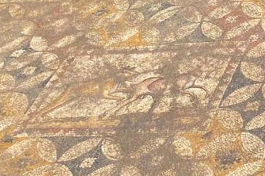 Papa 14. Leo'nun ziyareti öncesi Türkiye'deki tarihi keşfin sırrı çözülüyor - Resim: 3