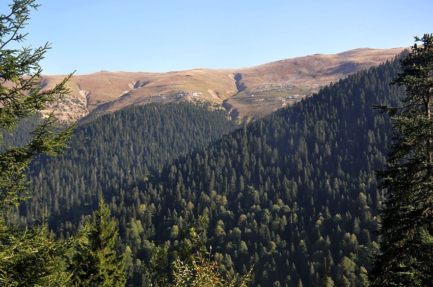 Karadeniz'de endişe veren uyarı: Ormanlar katledildi, heyelan riski büyüyor - Resim: 4