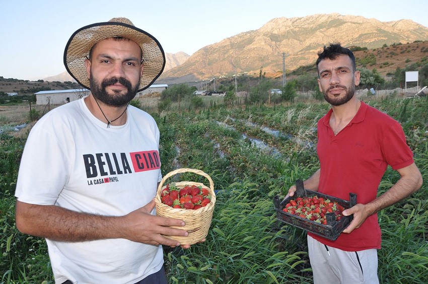 Alternatif olsun diye hibe desteğiyle başladılar, şimdi yüzlerce aileye gelir kapısı oldu - Resim: 1