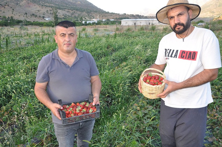 Alternatif olsun diye hibe desteğiyle başladılar, şimdi yüzlerce aileye gelir kapısı oldu - Resim: 2