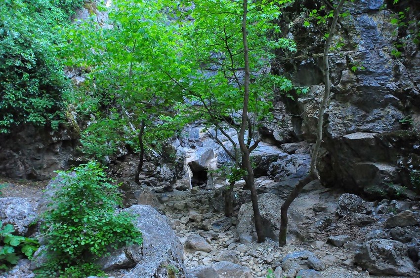 Türkiye'nin saklı cennetinde kahreden manzara: Bir damla su kalmadı - Resim: 1