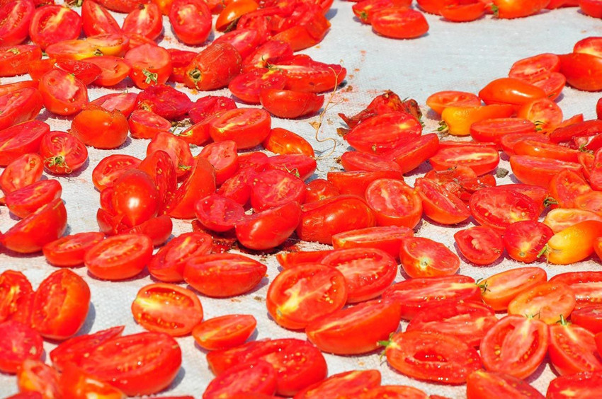 Manisa'dan dünya sofralarına: Güneşte kurutulup, 34 ülkeye ihraç ediliyor - Resim: 2