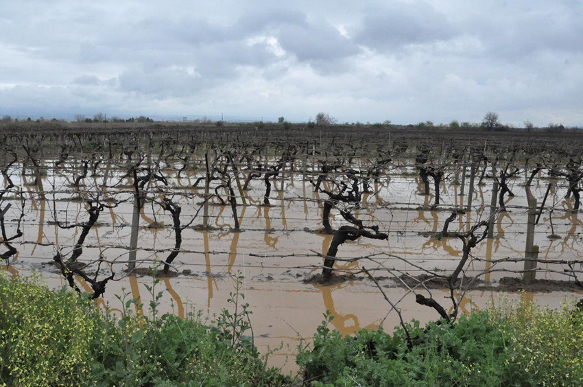 Bir şehir felaketi yaşıyor: Binlerce dönüm tarım arazisi sulara gömüldü - Resim: 2